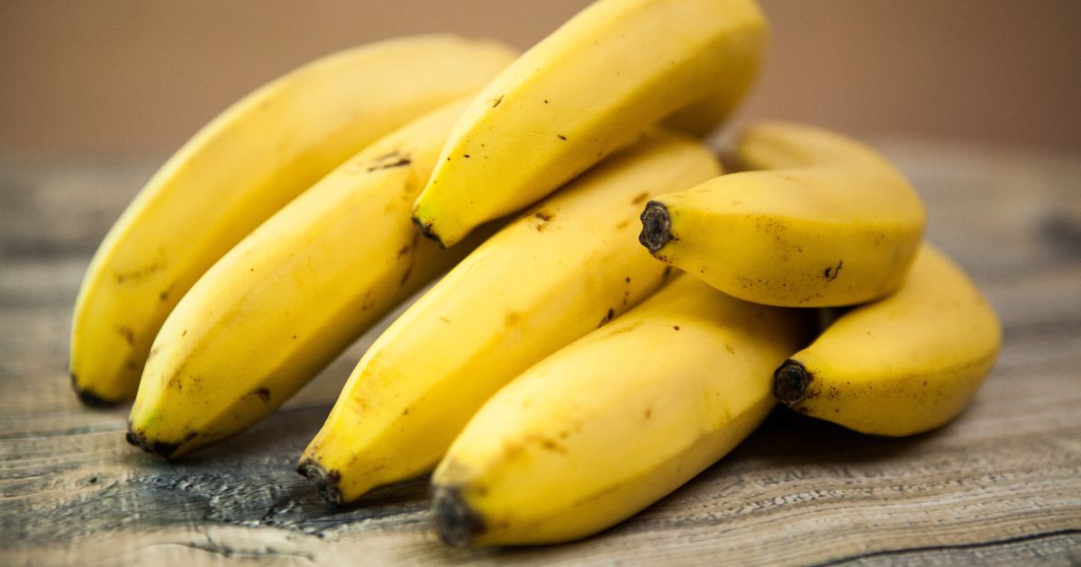 Kan hundar äta bananer? Fakta, fördelar och risker