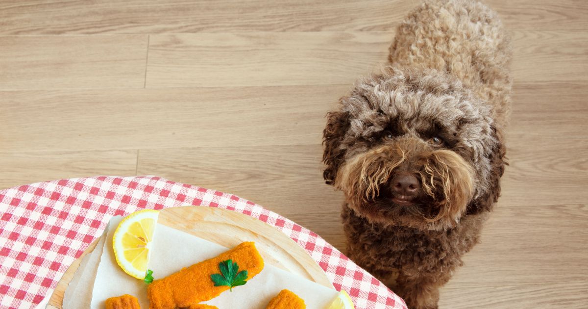 Kan hundar äta fiskpinnar? En omfattande guide