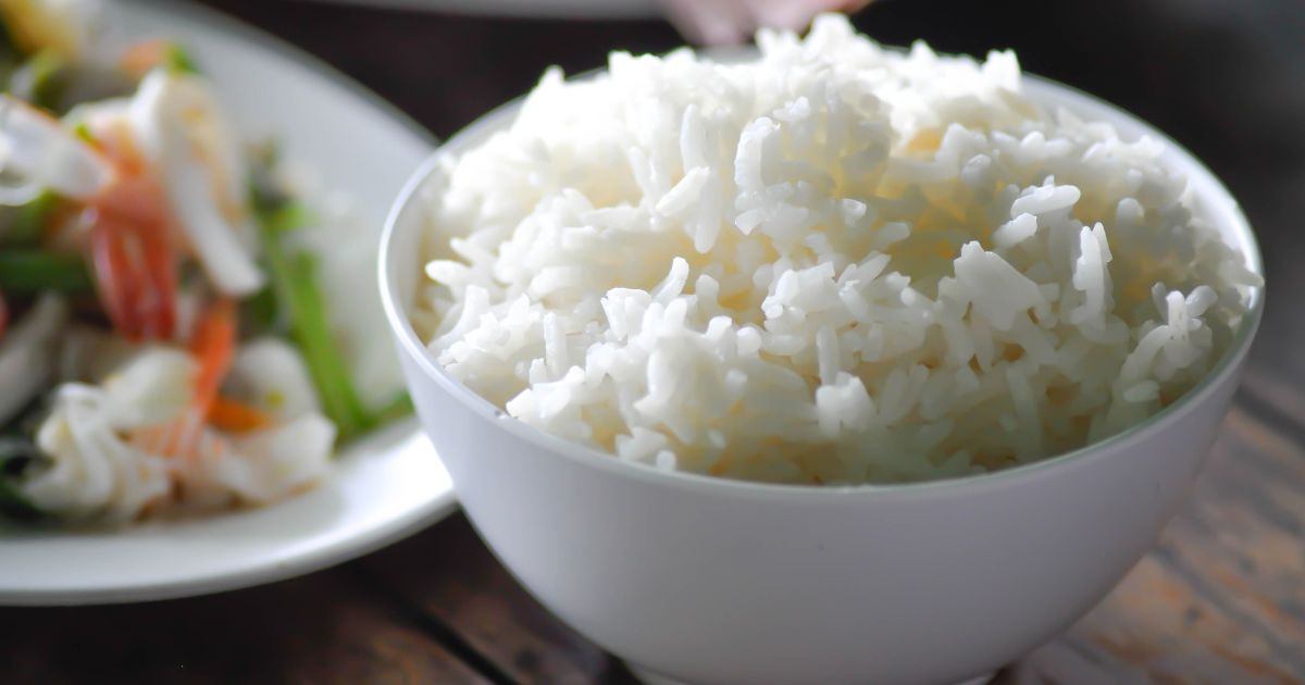 Kan hundar äta ris? En Djupgående Undersökning