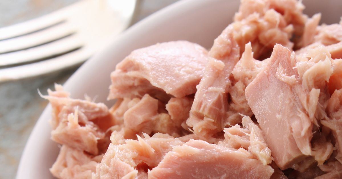 Kan hundar äta tonfisk? En Guide Till Att säkra Din Hunds Hälsa